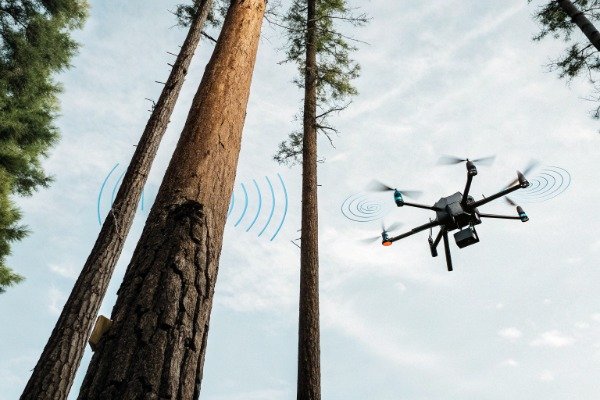 Drone flying near tall trees with signal waves (ID#2)