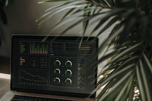 Laptop screen showing data analytics dashboard (ID#2)