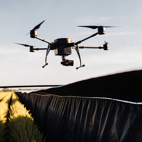Drone flying over agricultural field at sunset (ID#1)