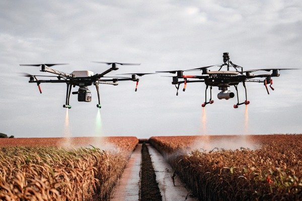 Two drones spraying crops in field (ID#2)