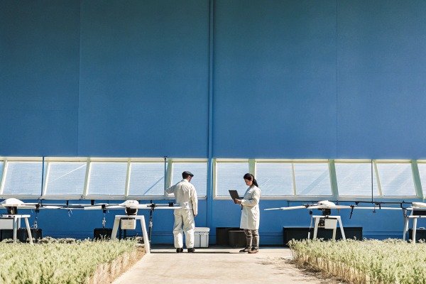 Scientists inspecting plants in indoor farm (ID#2)