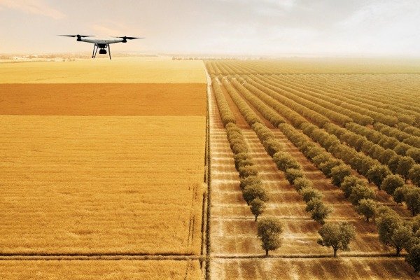 Drone flying over large agricultural fields (ID#4)