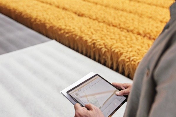 Person using tablet near wheat field (ID#2)
