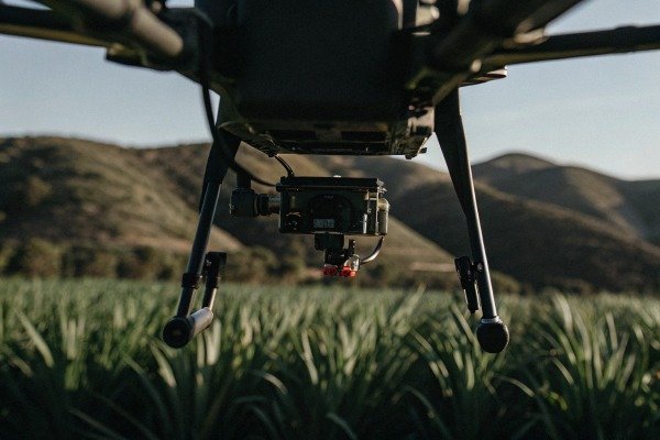 Close-up of drone camera flying over crops (ID#2)