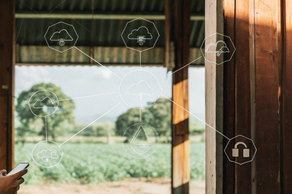 Person using smartphone with cloud network icons (ID#5)