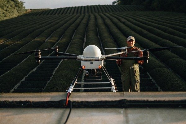 Farmer standing next to large drone in tea plantation (ID#4)