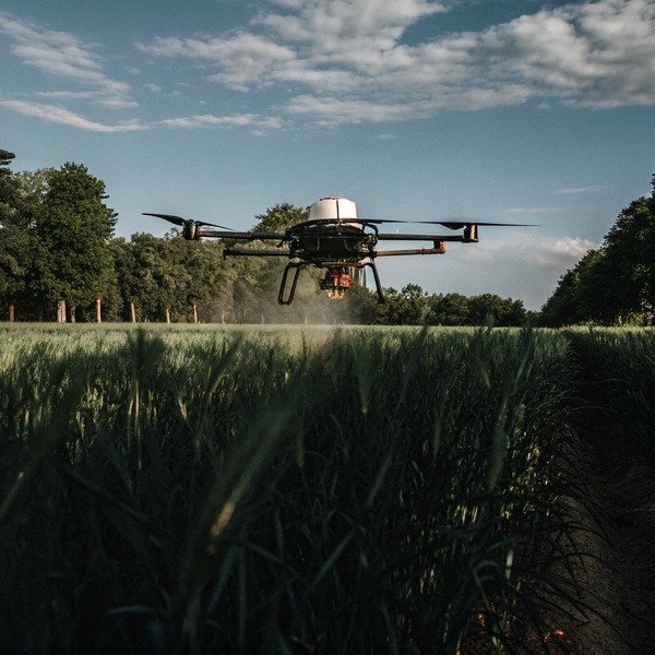 Drone flying low over crop field at sunset (ID#1)