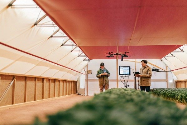 Two people monitoring drones inside greenhouse (ID#3)