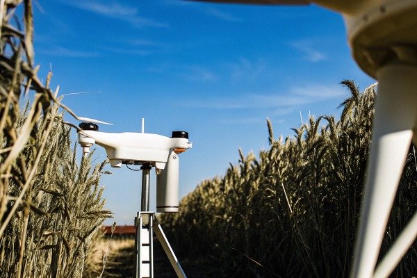 White drone flying over crops in field (ID#2)