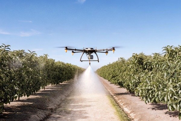 Drone spraying mist over orchard trees (ID#5)