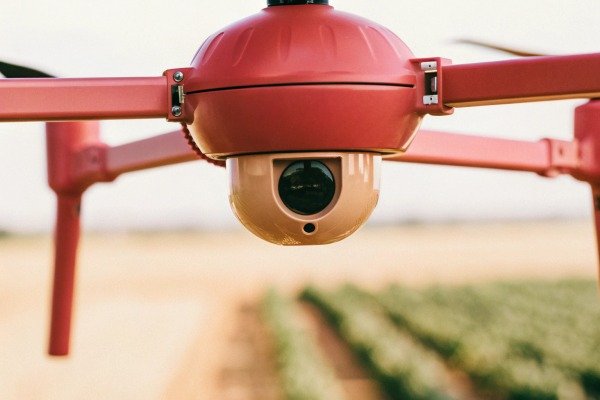 Close-up of drone camera flying over crops (ID#3)