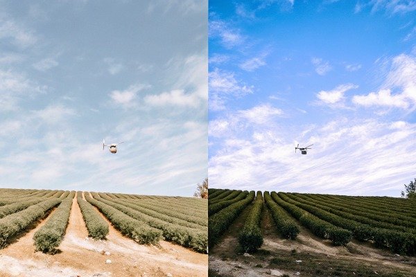 Drone flying over agricultural field with clear sky (ID#2)
