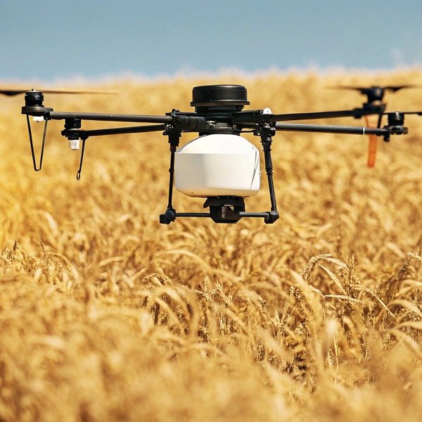 Drone flying over wheat field close-up (ID#1)