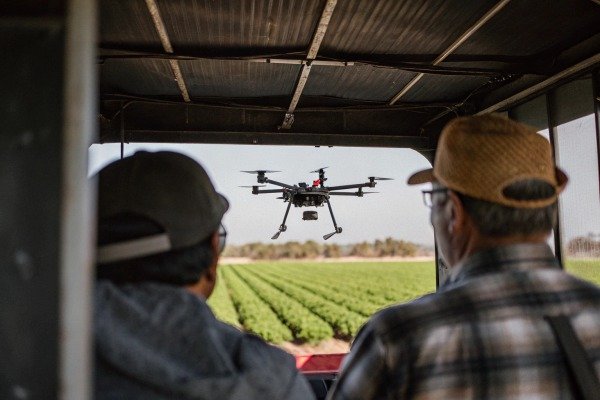 Two farmers watching drone flying over crops (ID#4)