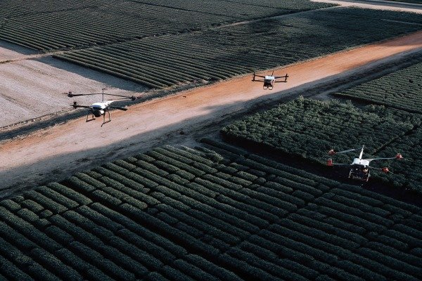 Multiple drones flying over agricultural fields (ID#5)
