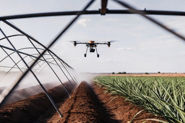 Drone spraying crops in field irrigation system (ID#5)