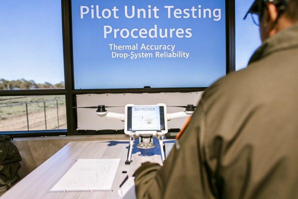 Illustrative image within an article, providing visual context (ID#2)